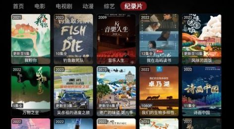 Wocflix影视图1