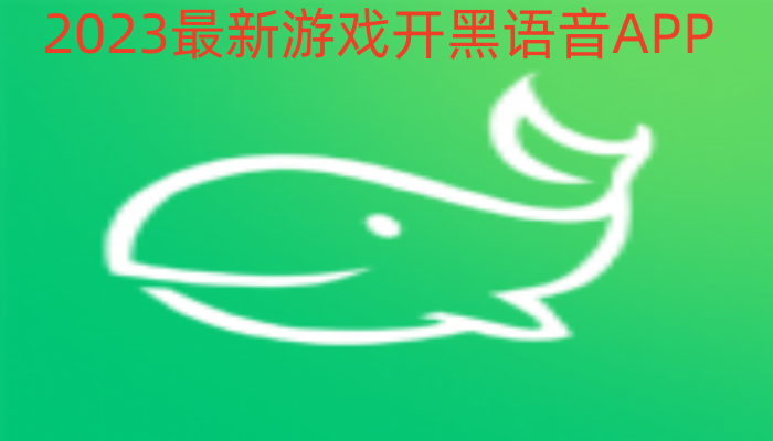 2023最新游戏开黑语音APP