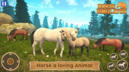 骑马世界模拟器(Horse Simulator)