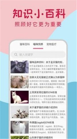 小猫翻译器图3