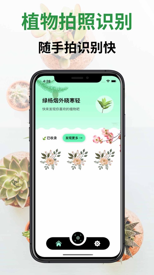 植物识别图2