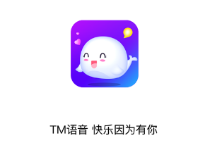 Tm语音