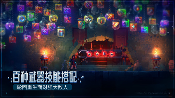 重生细胞3.0.5无邪破解版图3