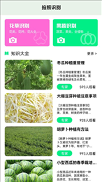 一起认植物图3