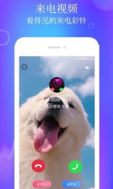 闪闪动态壁纸主题app