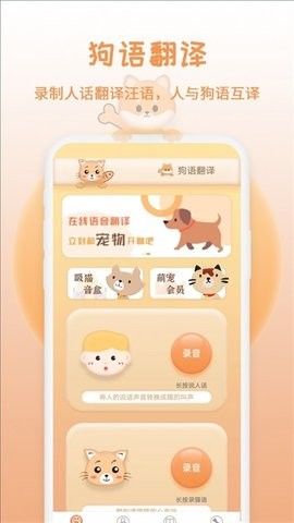 米度猫语翻译图2